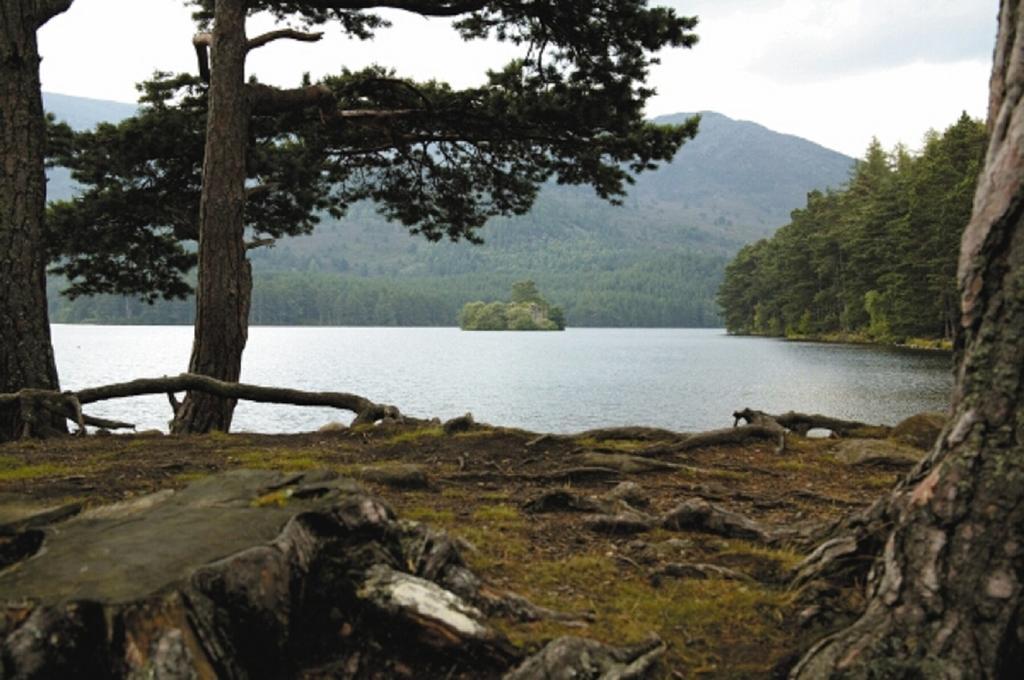 Macdonald Aviemore Hotel At Macdonald Aviemore Resort Bagian luar foto