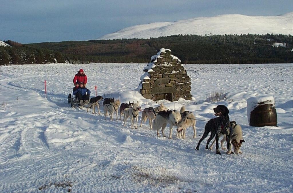 Macdonald Aviemore Hotel At Macdonald Aviemore Resort Bagian luar foto